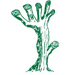 rogelio piñeiro vazquez e hijos gestion forestal logo