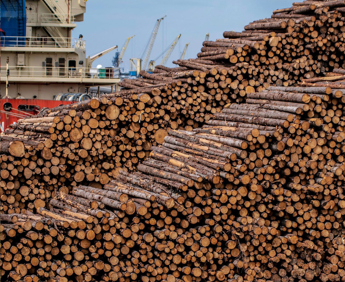 empresa de Importación y exportación de madera en galicia y portugal