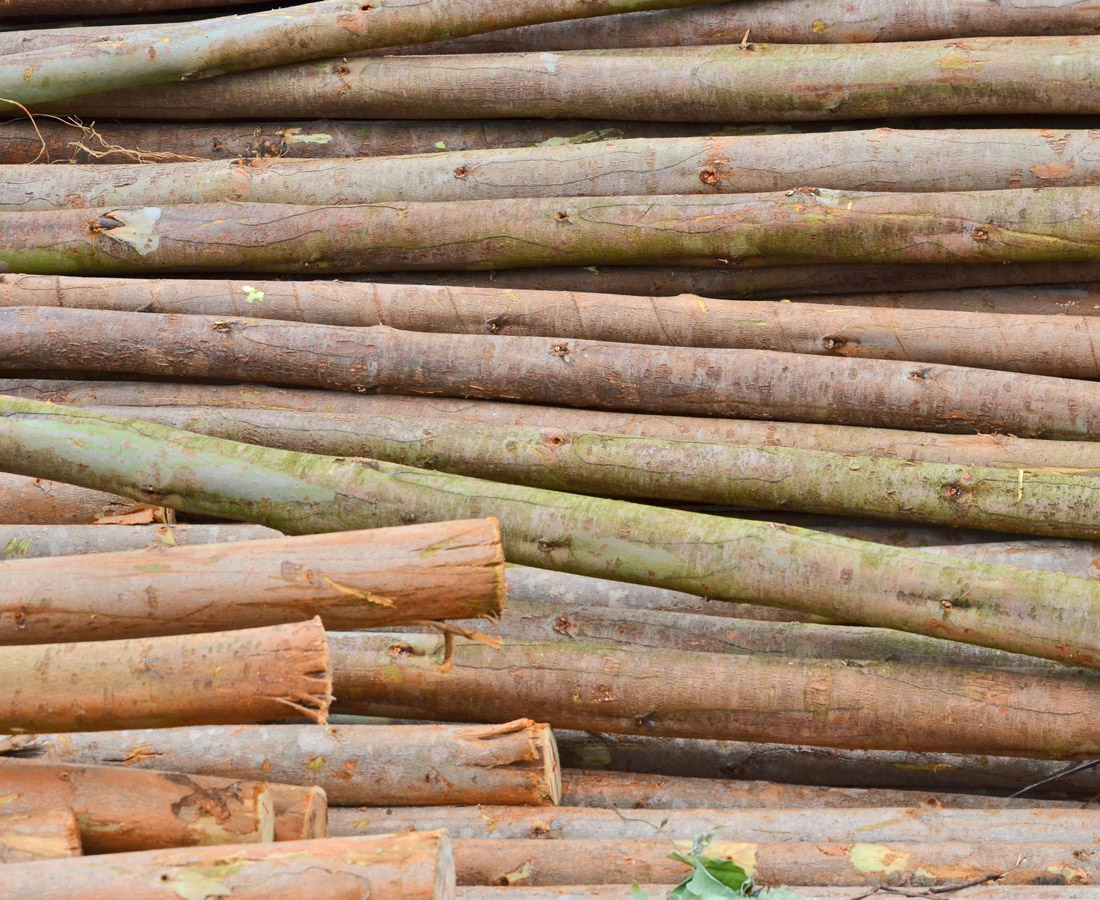 empresa de compraventa de madera en galicia y portugal