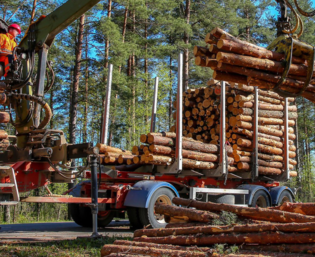 empresa de transporte de madera en galicia y portugal